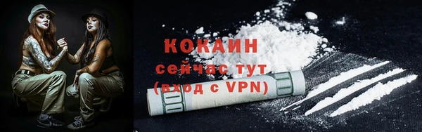 ECSTASY Дмитриев