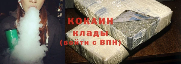 прущие крисы Ельня