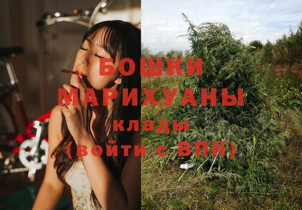 ECSTASY Дмитриев