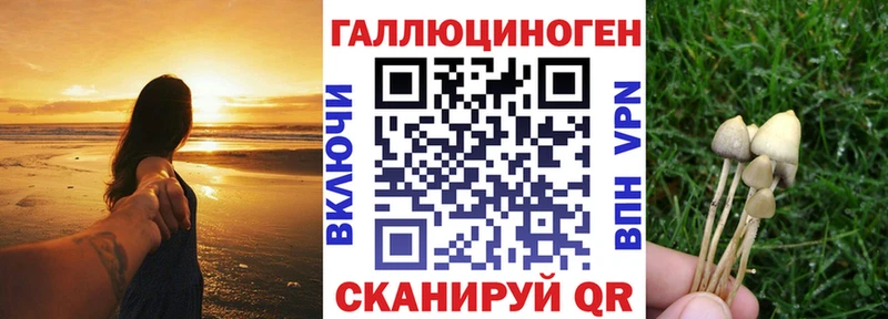 Купить закладки  Новоалтайск  Галлюциногенные грибы мухоморы 